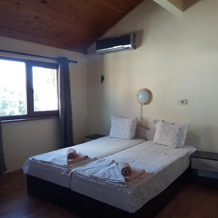 Oasis 2* كيتن